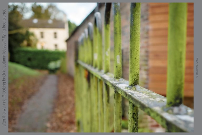 Photo-haiku : Looking back at Autumn